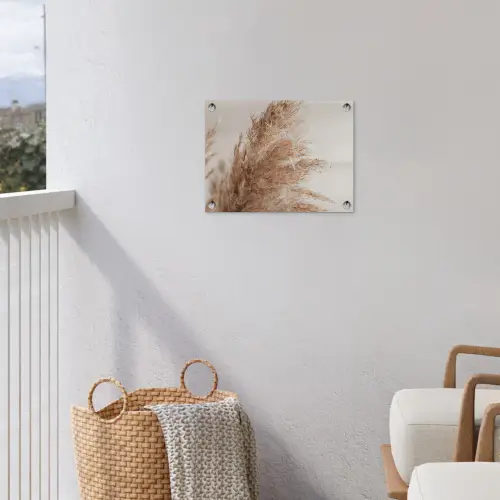 Gedroogd pampasgras tegen een neutrale achtergrond tuinposter los doek klein -sfeer8