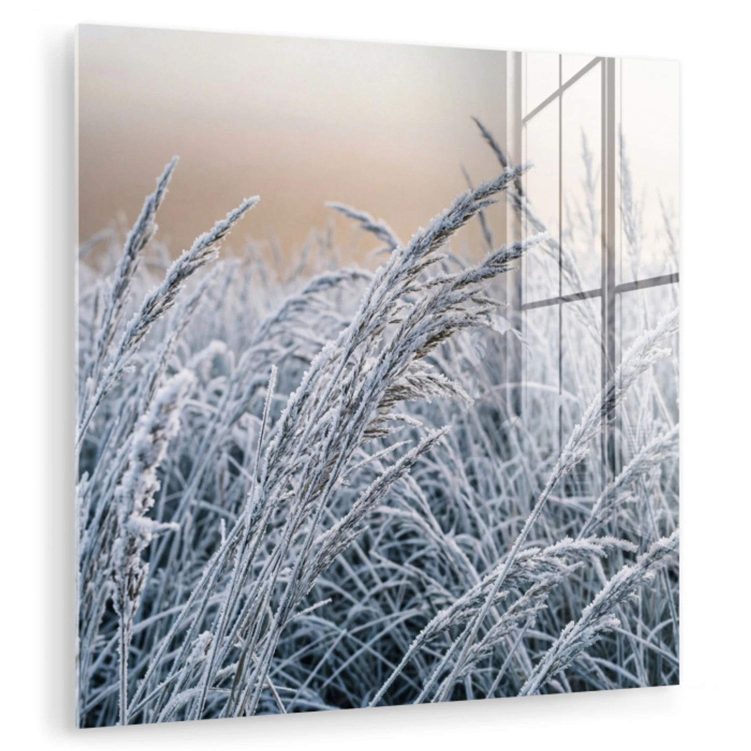 Rijp - Gras - Kristallen - Winter - Minimalistisch plexiglas 5mm klein -zzzproduct_nieuw