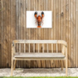 Kreeft - Zwart - Oranje - Wit - Uniek Tuinposter op houten frame 2 cm dik klein -sfeer4