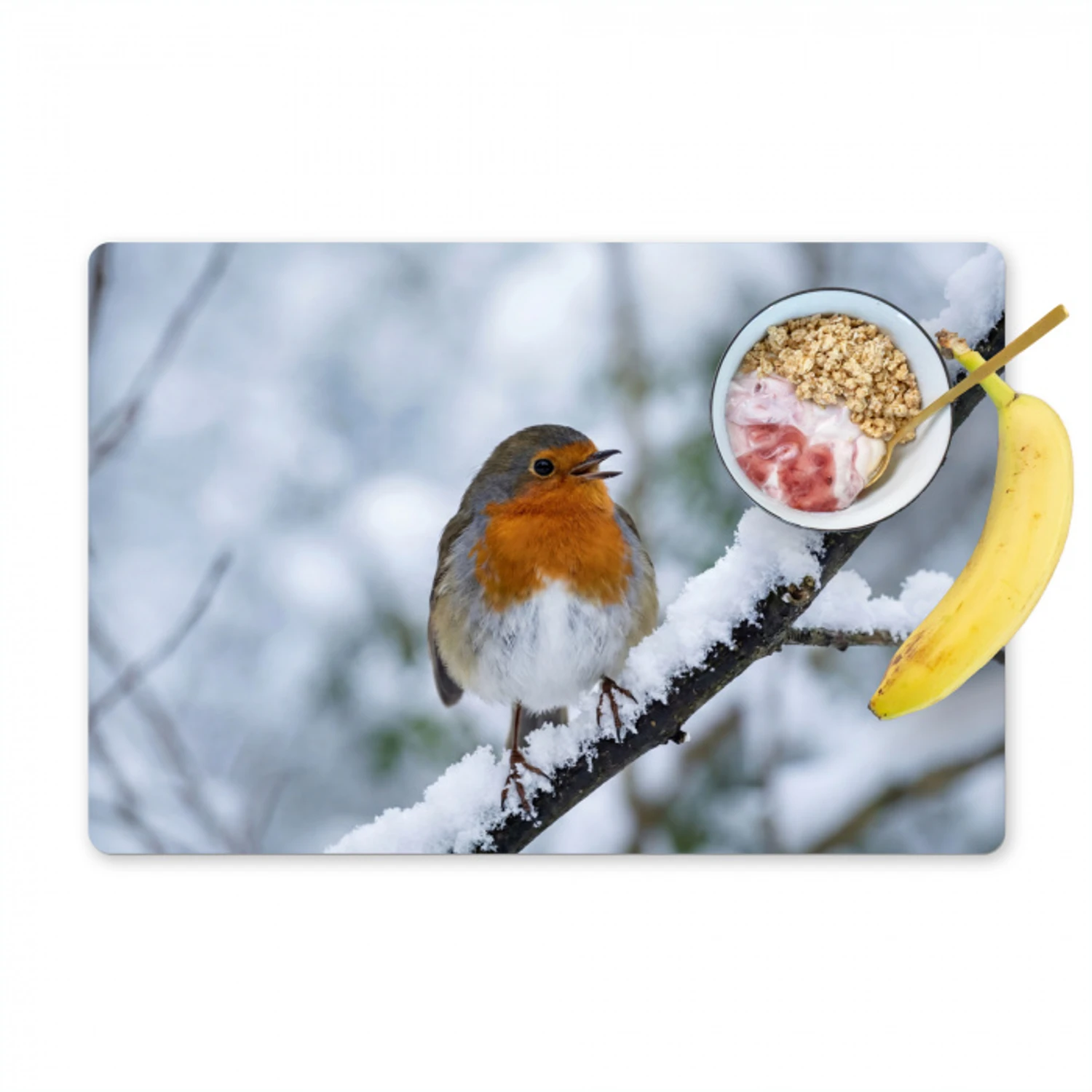 Roodborstje - Tak - Sneeuw - Winter - Levendig Placemat vinyl groot -zzzproduct_Kitchenyeah-website