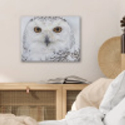 Sneeuwuil - Oog - Wildlife - Wit PET vilt klein -sfeer3