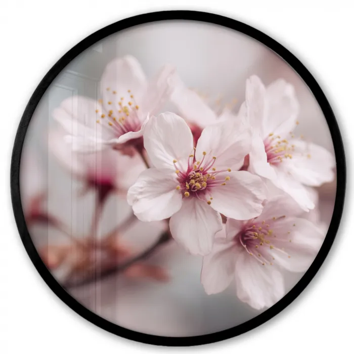 Bloesems - Meeldraden - Geel - Wazig Fotolijst rond zonder passe partout klein -3d