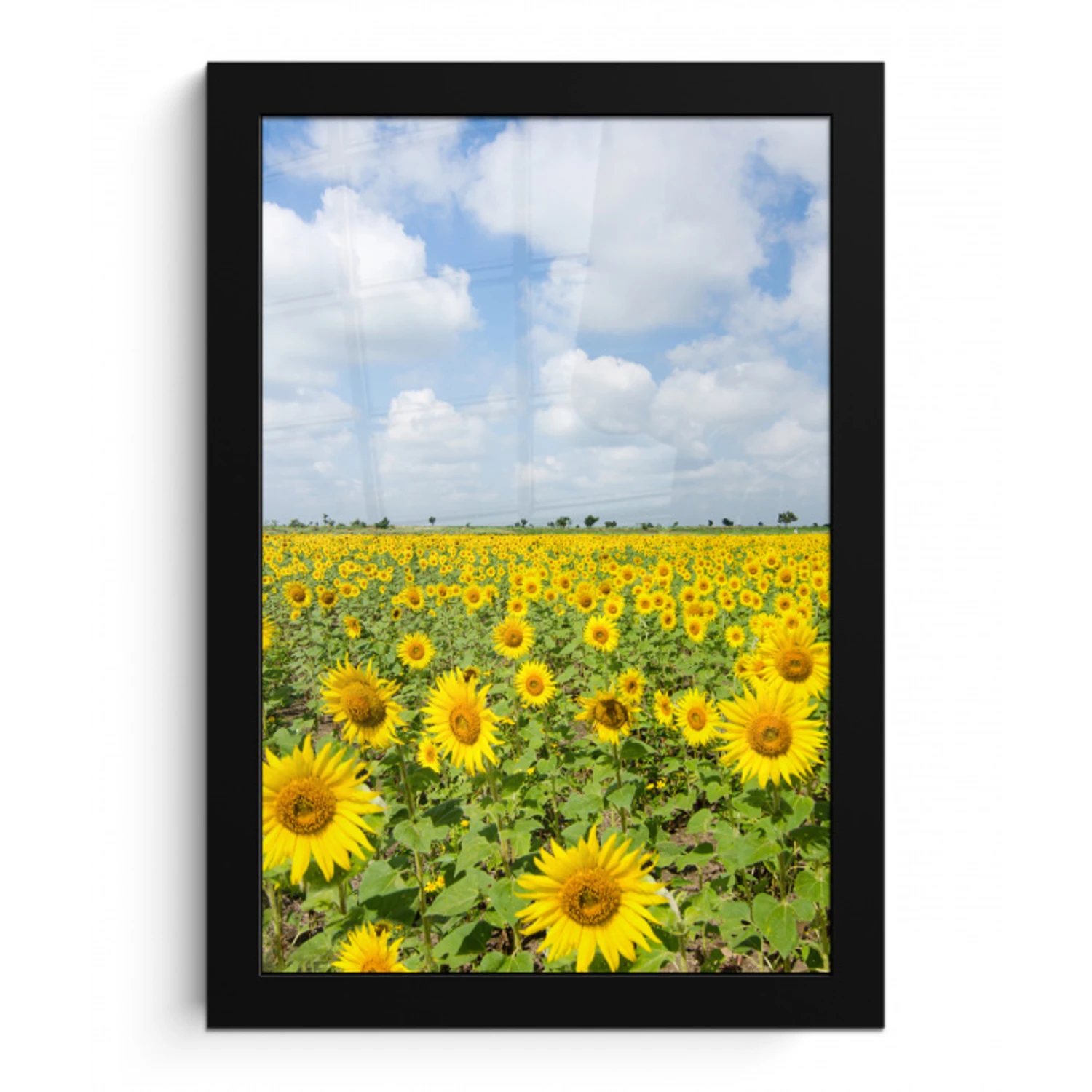 Zonnebloemen - Bloemen - Wolken - Natuur - Geel - Landschap fotolijst zwart zonder passe partout klein -3d