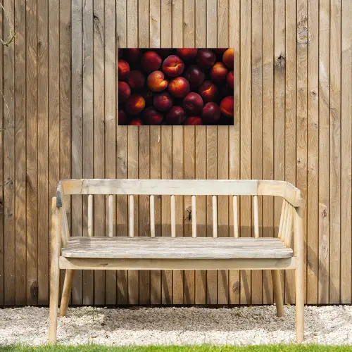Fruit - Close up - Nectarines Tuinposter op houten frame 2 cm dik klein -sfeer4