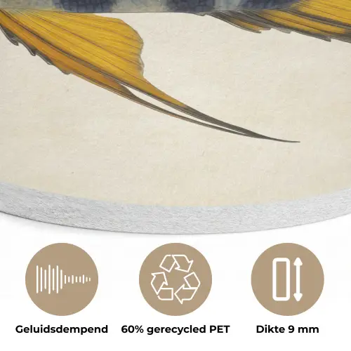 Vis - Sierlijk - Vinnen - Illustratie Akoestische PET Vilt - Rond klein -closeup_NL