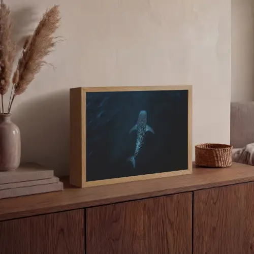 Oceaan - Walvishaai - Donkerblauw - Vlekken Light Box met batterij (Wandlamp) middel -sfeer2
