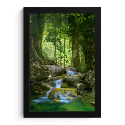 Jungle - Stenen - Water - Natuur - Planten fotolijst zwart zonder passe partout klein -3d