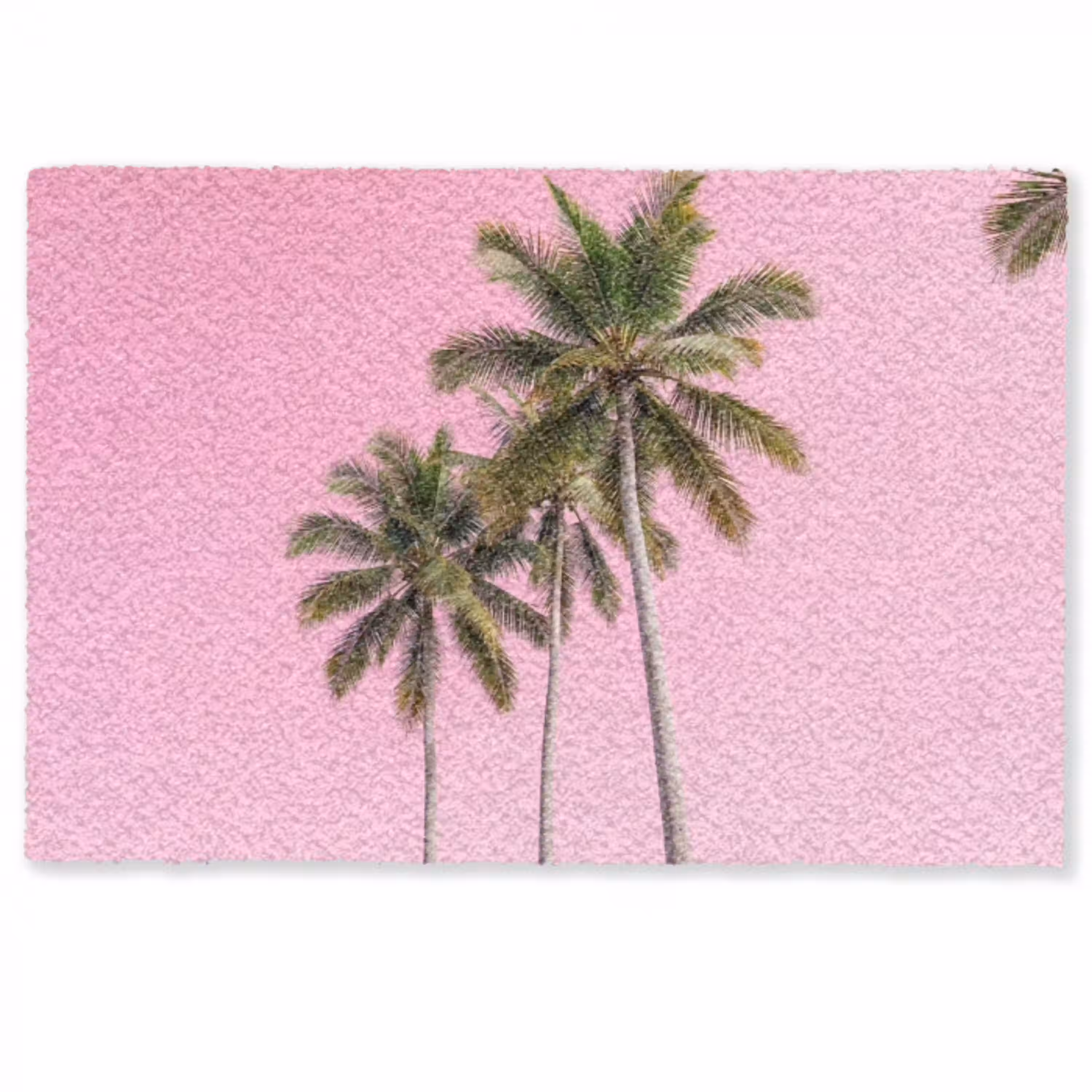 Palmboom - Tropisch - Pink Deurmat klein -zkaufland3d