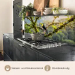 Toekan - Jungle - Natuur - Kleurrijk keuken achterwand 2 middel -usp_DE