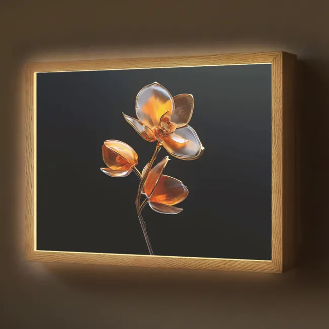 Lightbox - Flower - Orchid - Orange