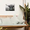 Schotse hooglander - Zwart - Wit - Gras tuinposter los doek klein -sfeer7