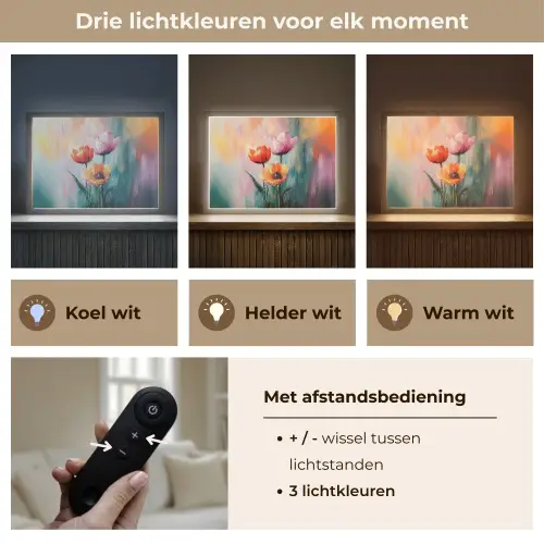 Dromerig - Bloemen - Verfijnde details Light Box met batterij (Wandlamp) middel -USP_lichtkleurNL