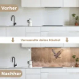 Buizerd - Roofvogel - Natuur - Bruin keuken achterwand 2 middel -voor-na_DE