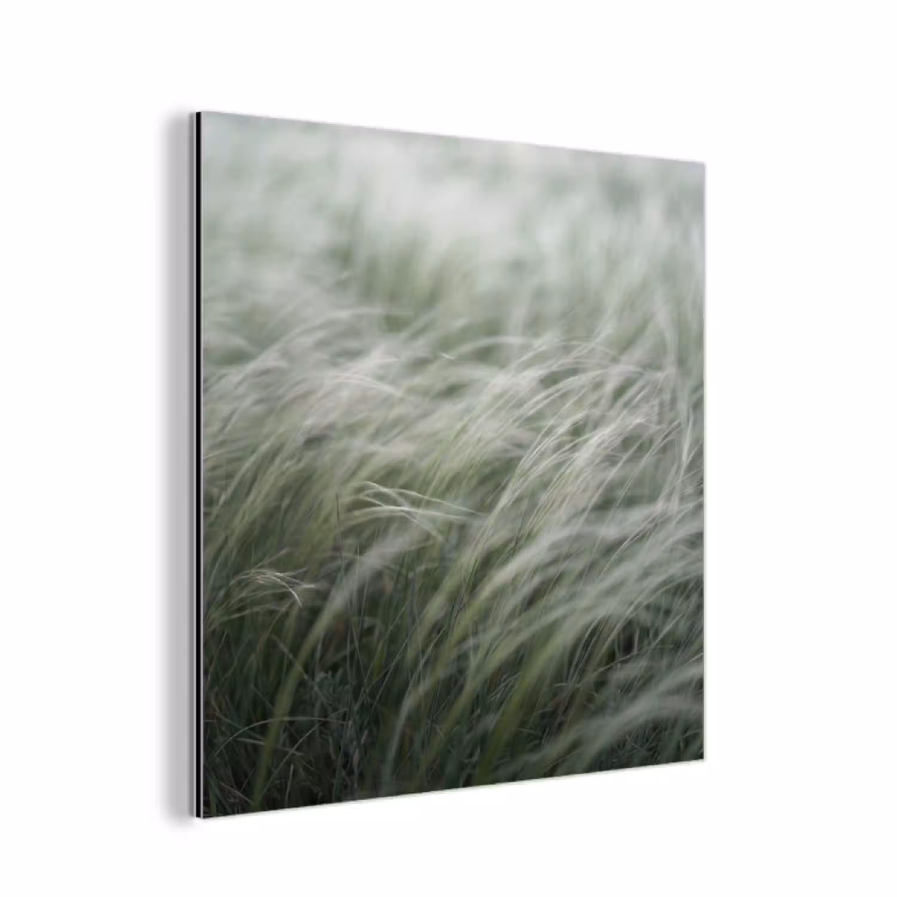 Gras - Wazig - Natuur - Groen - Zacht aluminium wit klein -3d