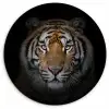 Tijger - Wilde dieren - Portret - Zwart - Dieren Wandcirkel kunststof plaat 5mm dik klein -3d