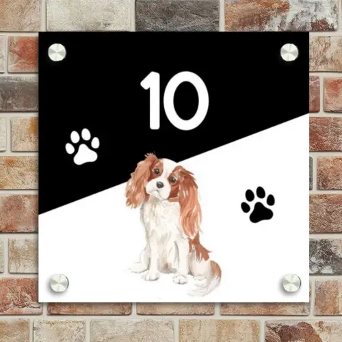 Zwart wit - Huisdier - Cavalier King Charles Spaniël Naambord Vierkant klein -sfeer2
