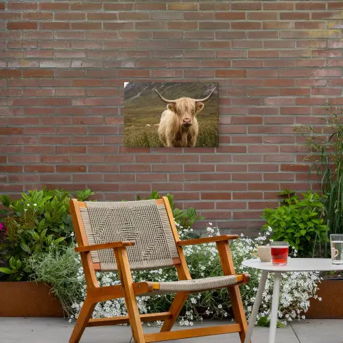 Schotse hooglander - Bergen - Grasveld Tuinposter op houten frame 2 cm dik klein -sfeer3