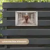 Hooglander door het Raam tuinposter los doek klein -sfeer3