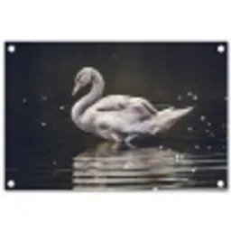 Vogel - Zwaan - Water tuinposter los doek klein -3d