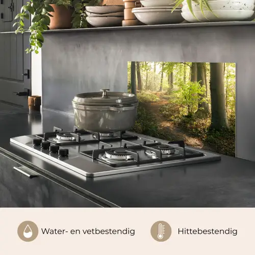 Bos - Bomen - Pad - Zon - Planten - Bladeren - Natuur keuken achterwand spatscherm klein -usp_NL