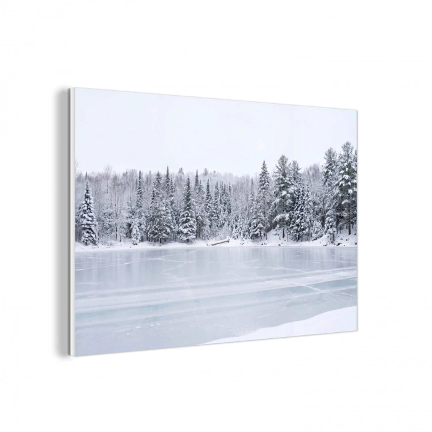 Meer - Dennen - IJs - Winter - Rustgevend forex 5mm xxl -3d