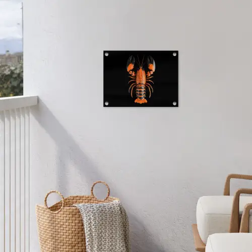 Kreeft - Oranje - Zwart - Modern tuinposter los doek klein -sfeer8
