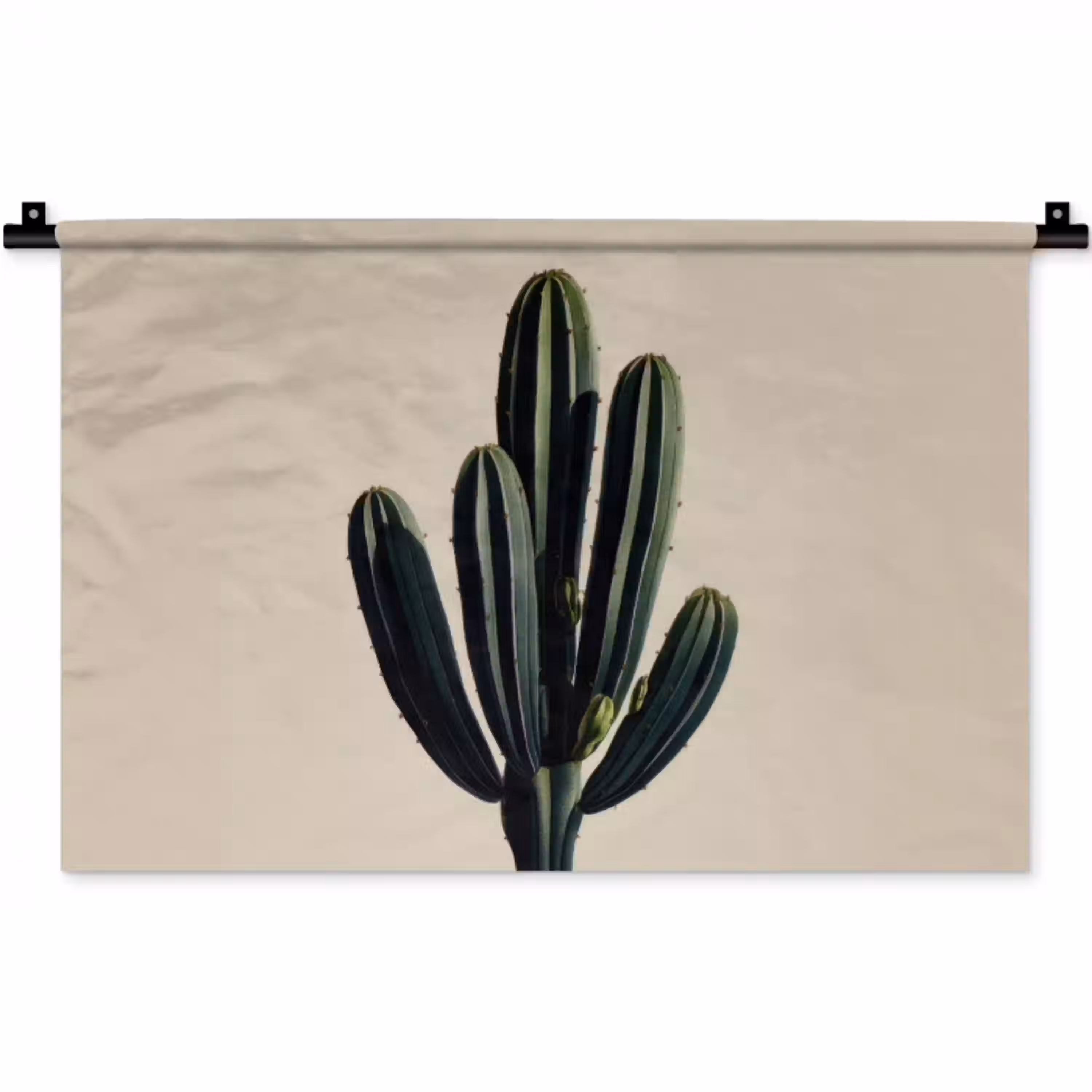 Cactus - Subtiel - Groen Wandkleed katoen klein -zz3d