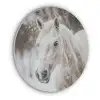 Paard - Wit - Winter - Natuur - Sneeuw - Dieren Akoestische PET Vilt - Rond klein -3d