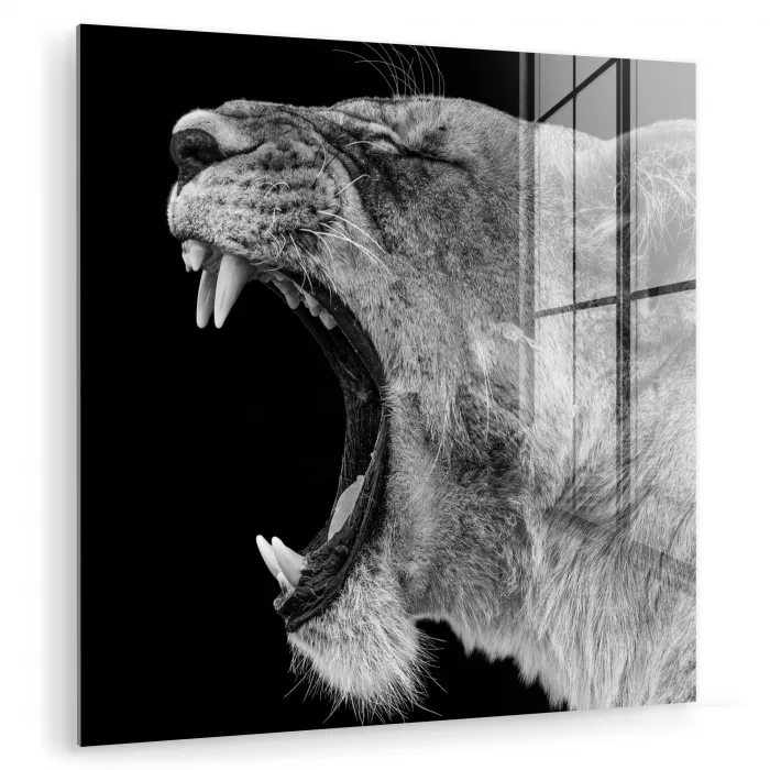 Dieren - Leeuw - Zwart - Wit - Portret plexiglas 5mm klein -zzzproduct_nieuw