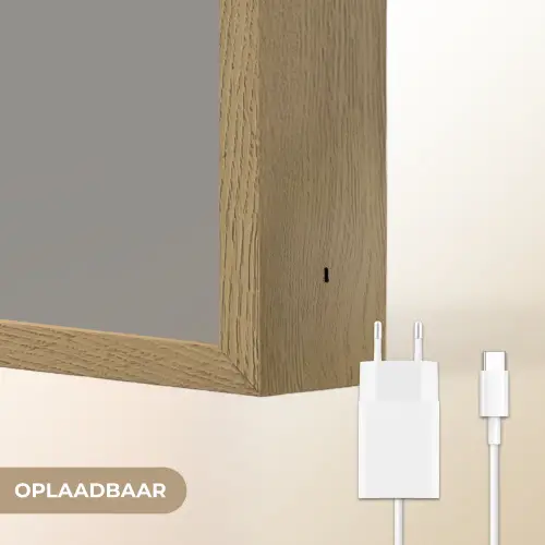 Illustratie - Vogels - Abstract - Roze Light Box met batterij (Wandlamp) middel -USP_websiteoplaadbaarNL