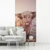 Schotse hooglanders - Licht - Lucht - Natuur fotobehang vinyl groot -woonkamer