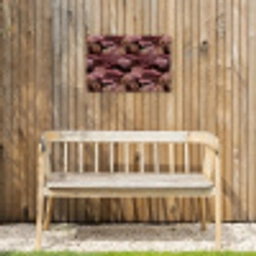 Koraal - Organisch - Roze Tuinposter op houten frame 2 cm dik klein 845 -sfeer4