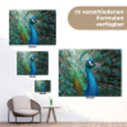 Pauw - Veren - Blauw tuinposter los doek klein -Xsfeer9_DE