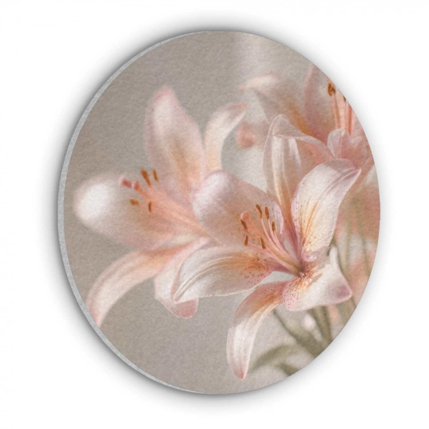 Lelies - Meeldraden - Roze - Wazig Akoestische PET Vilt - Rond klein -3d