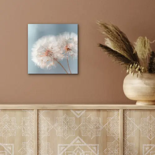 Paardenbloemen - Pluisjes - Wit aluminium wit klein -sfeer4