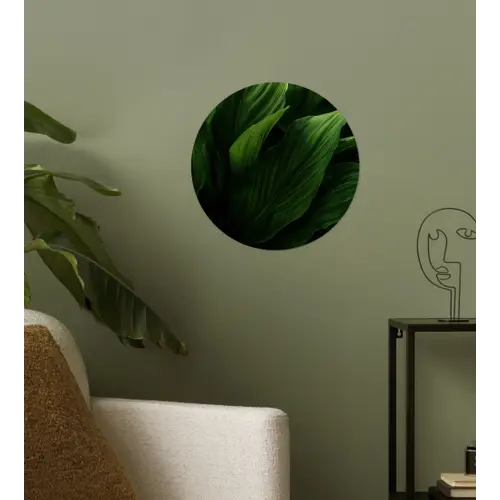 Bladeren - Schaduw - Groen - Textuur Wandcirkel behangsticker klein -sfeer2