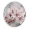 Bloesems - Meeldraden - Geel - Wazig Akoestische PET Vilt - Rond klein -3d