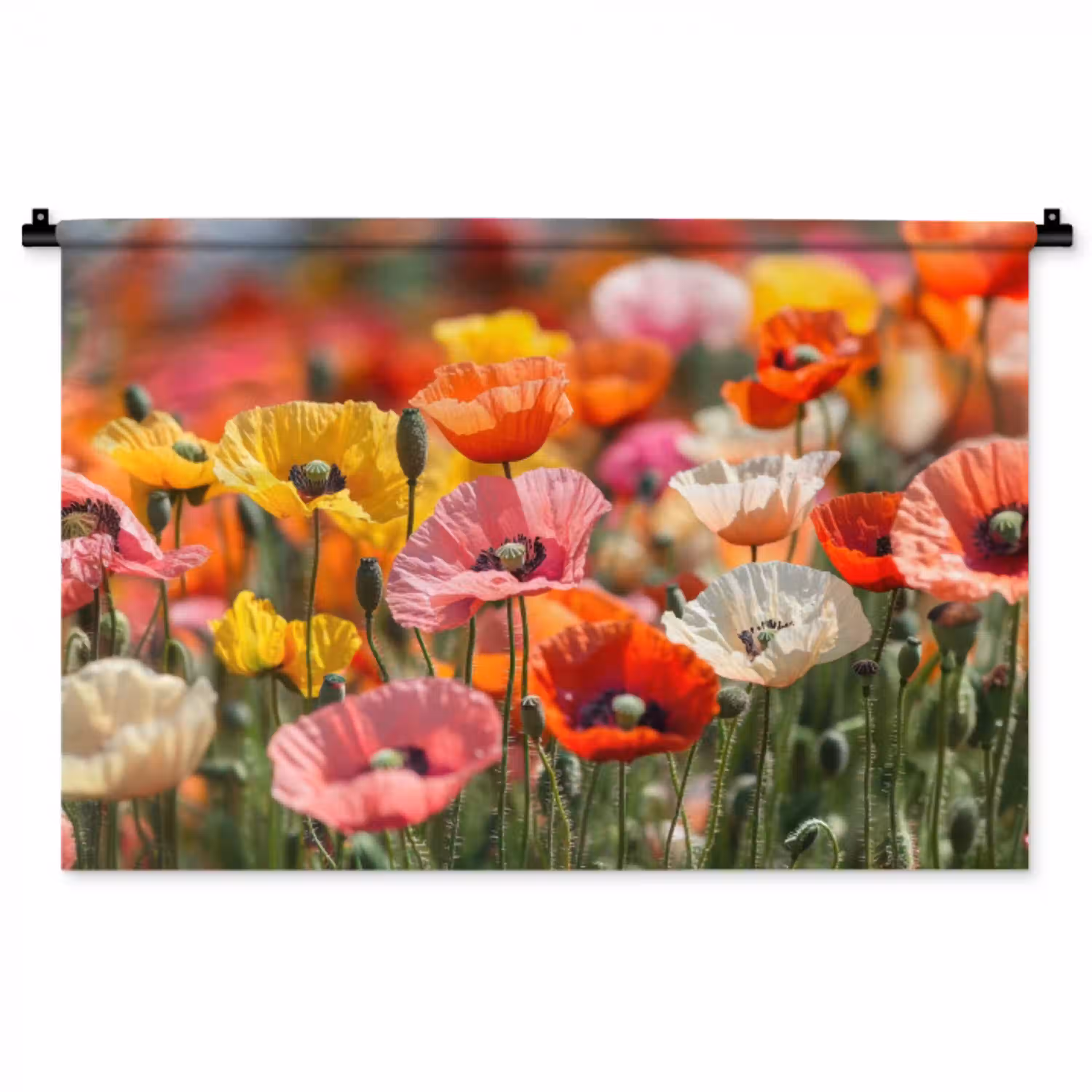 Bloemenveld - Klaprozen - Kleurrijk Wandkleed katoen middel -zz3d
