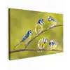 Vijf Koolmezen op een Tak Tuinposter op houten frame 2 cm dik klein -3d