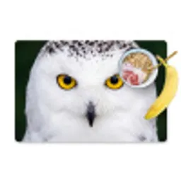 Sneeuwuil - Portret - Geel Placemat vinyl groot -zzzproduct_Kitchenyeah-website
