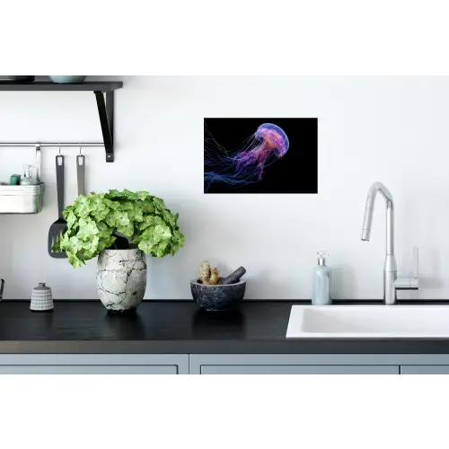 Kwal - Doorzichtig - Roze - Tentakels Muursticker klein -keuken