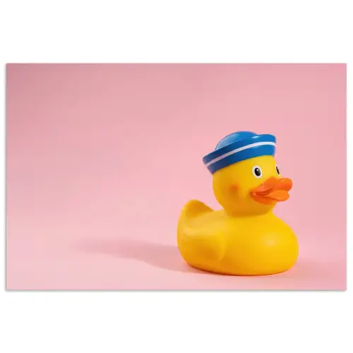 Matroos - Eend - Roze poster papier klein -3d
