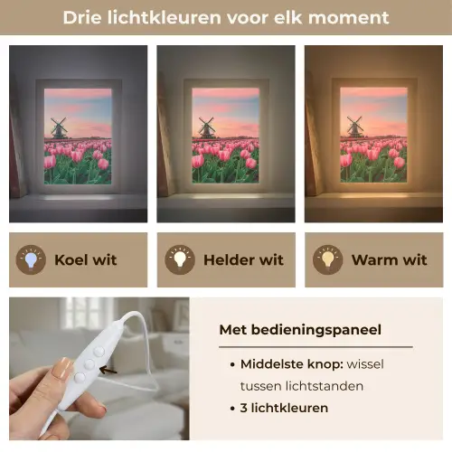 Tulpen - Molen - Nederland Light Box met kabel (Tafellamp) klein -USP_lichtkleurNL