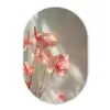 Bloemen - Stelen - Roze - Schaduw Wandcirkel Ovaal Forex klein -3d