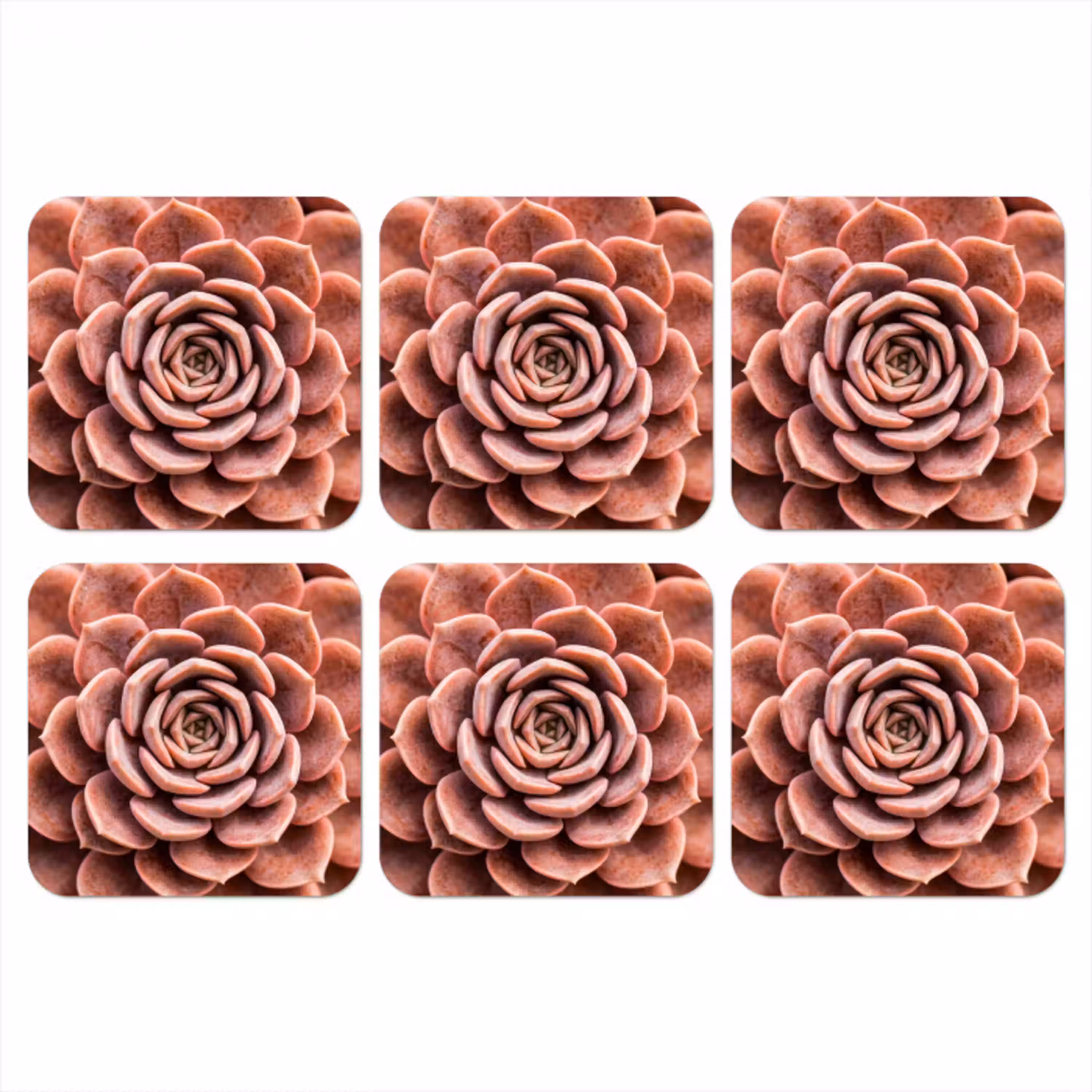 Vetplant - Organisch - Roze onderzetter kurk middel -3d