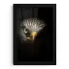 Vogel - Adelaar - Roofvogels - Oog - Snavel - Licht fotolijst zwart zonder passe partout klein -3d