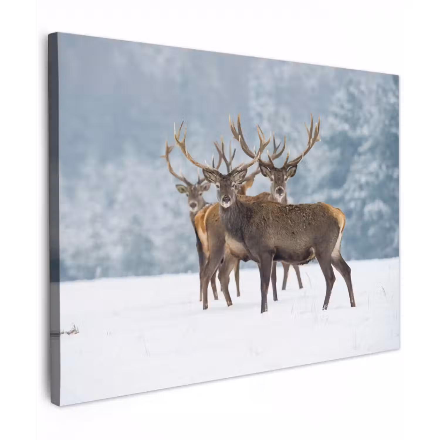 Canvas schilderij - Hert - Dieren - Sneeuw - Winter - Landschap - Natuur