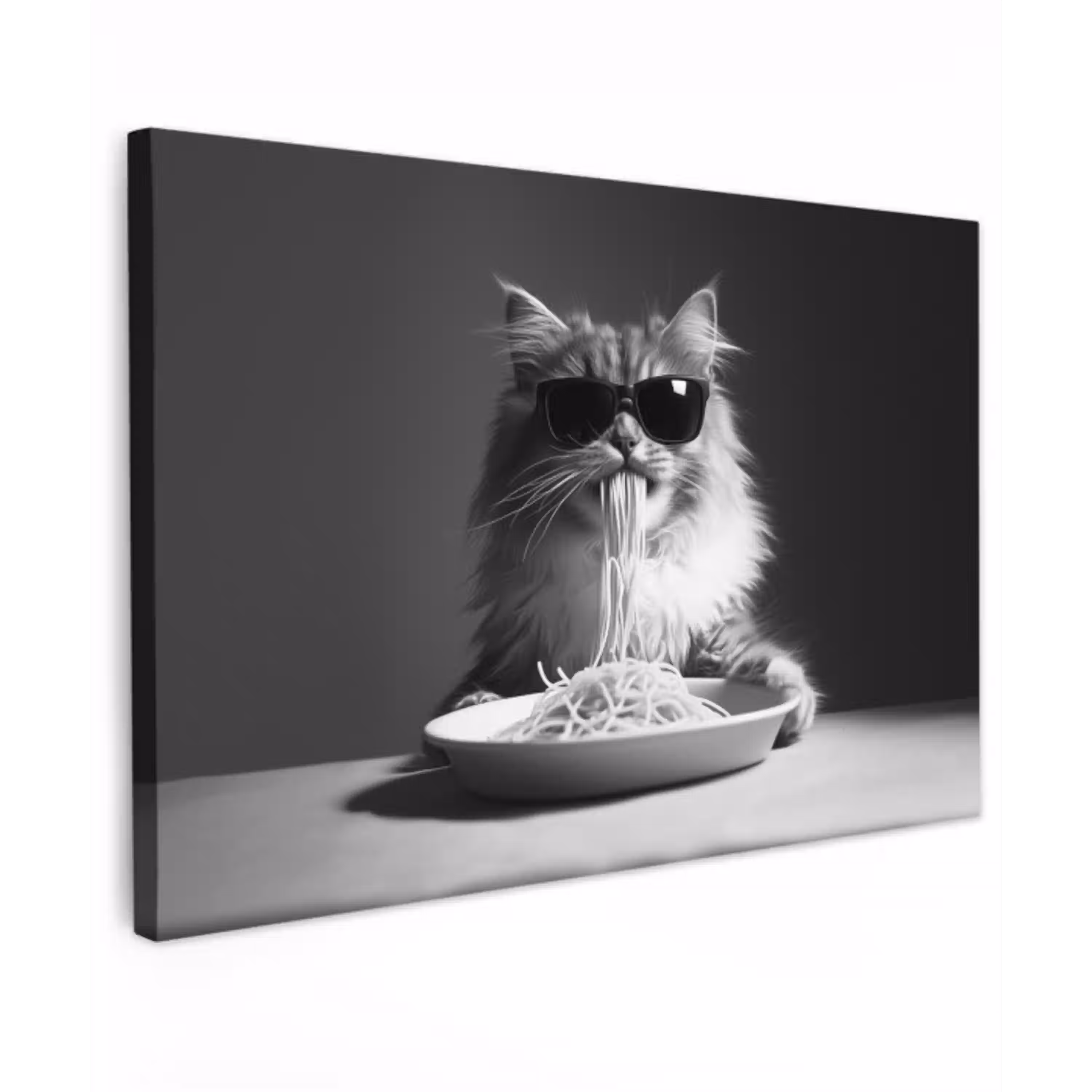 Langharige kat - Zonnebril - Spaghetti - Humor - Zwart - wit canvas 2cm klein -z3d