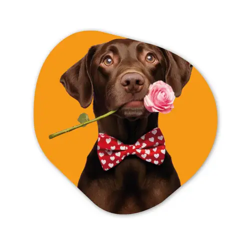 Hond - Oranje - Roos - Valentijn Wandcirkel Organisch Plexiglas middel -3d