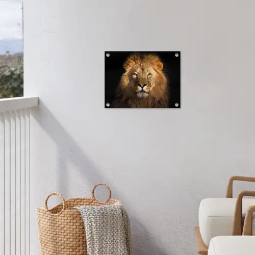 Leeuw - Dieren - Zwart - Licht - Bruin - Portret tuinposter los doek klein -sfeer8